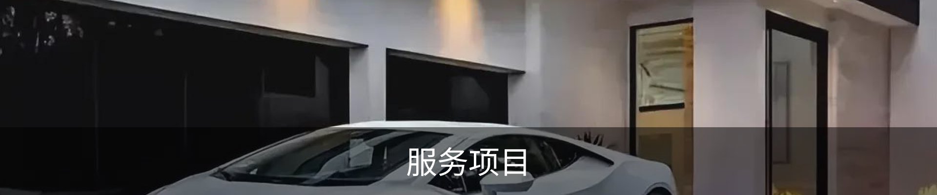 服务项目