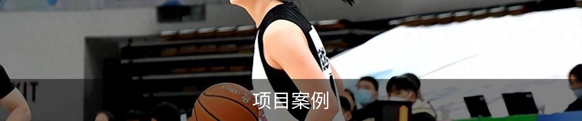 项目案例